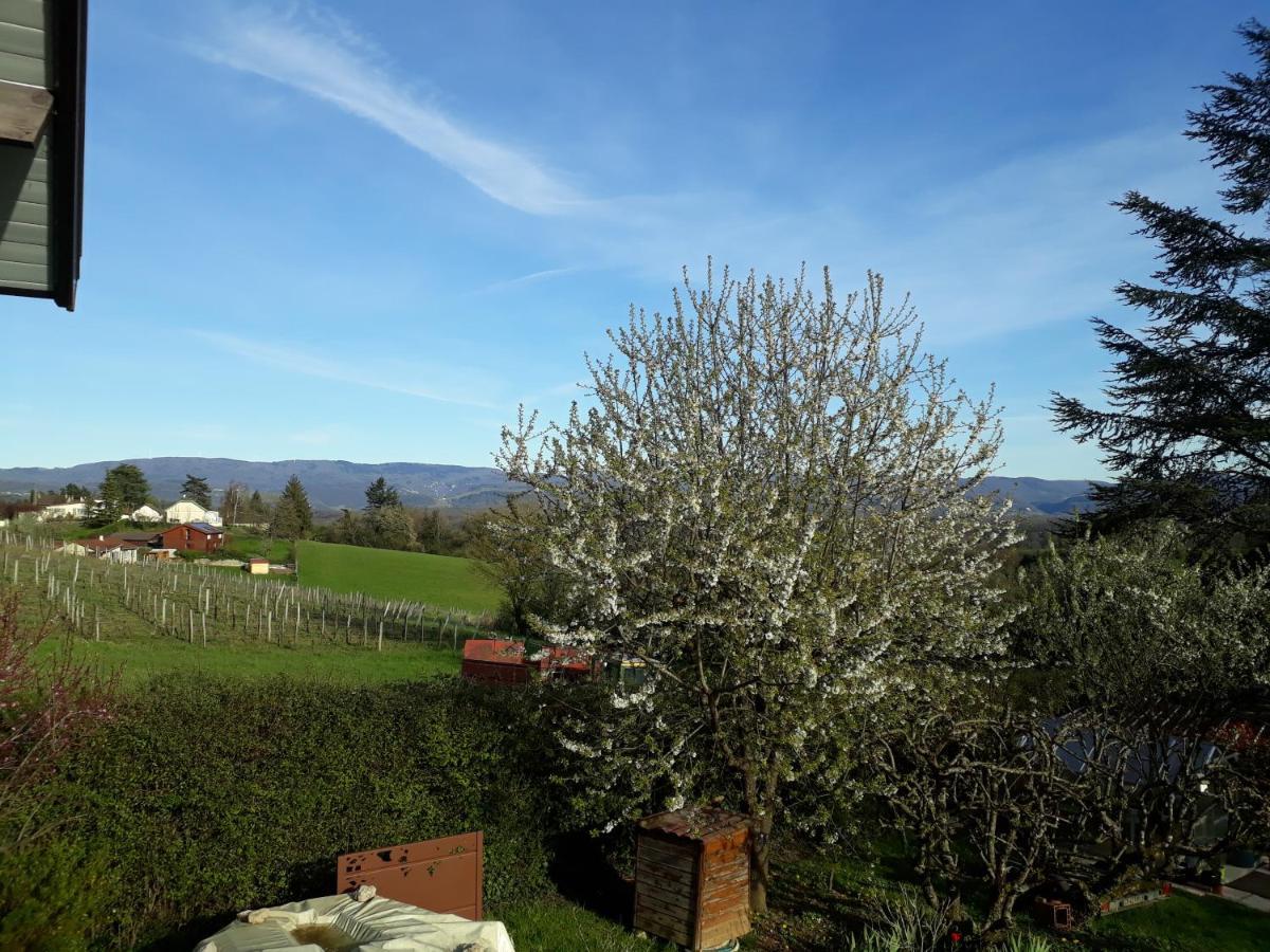 Chalet Norev Saint-Martin-du-Mont Eksteriør billede